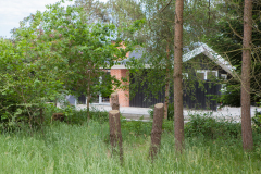 20210618-IMG_8404